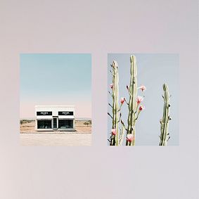 Desert Muse Collage Kit