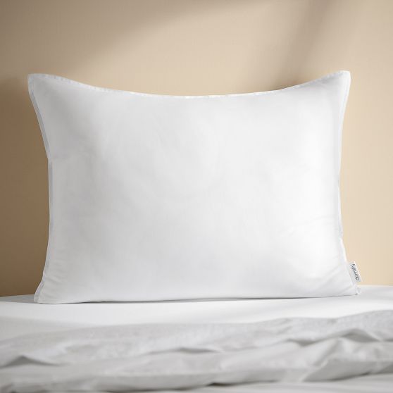 Dormify Sleep 101 Recycled Pillow Insert