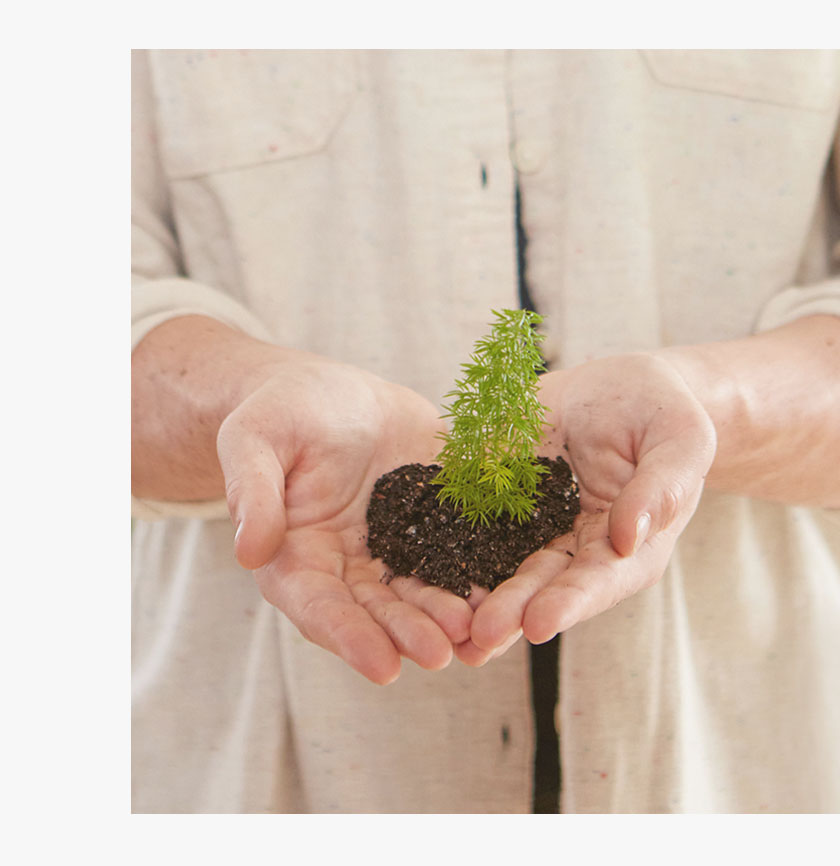Planting for the Future