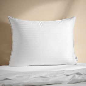 Sleep 101™ Premium Down Standard Pillow Insert