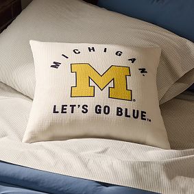 College Pillow